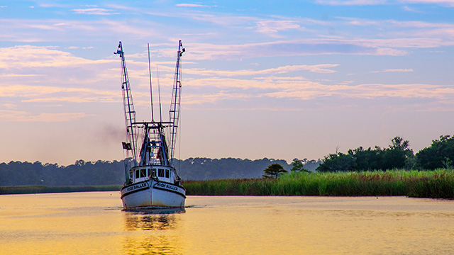 The program will also be available for streaming online.